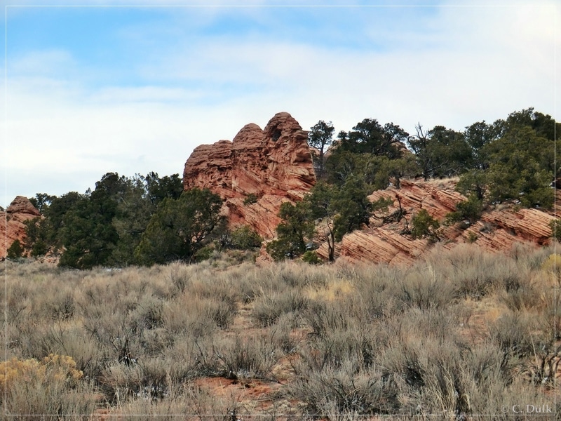 South West Route, Vermilion Cliffs NM, AZ